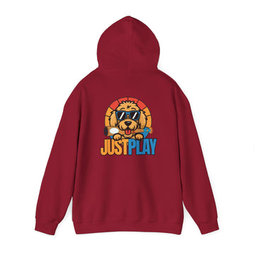 Just Play Baseball Hoodie